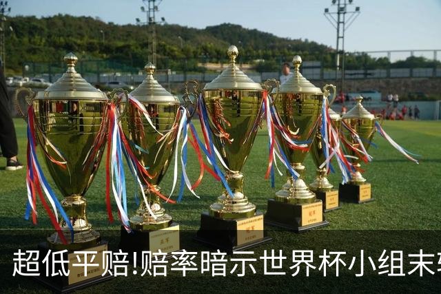 超低平赔!赔率暗示世界杯小组末轮一场默契球?